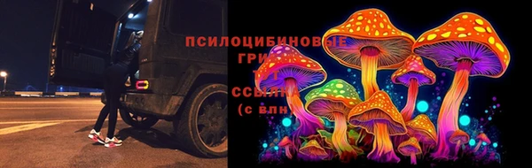 молекула духа Краснослободск