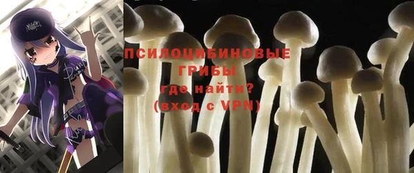 молекула духа Краснослободск