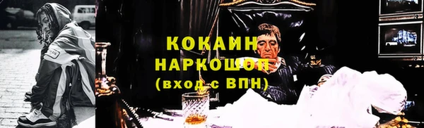 молекула духа Краснослободск