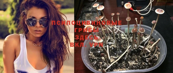 mdma Красноперекопск
