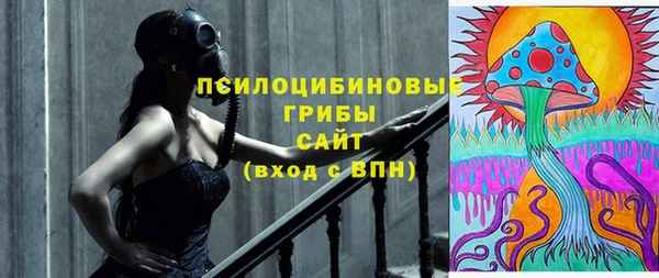 молекула духа Краснослободск